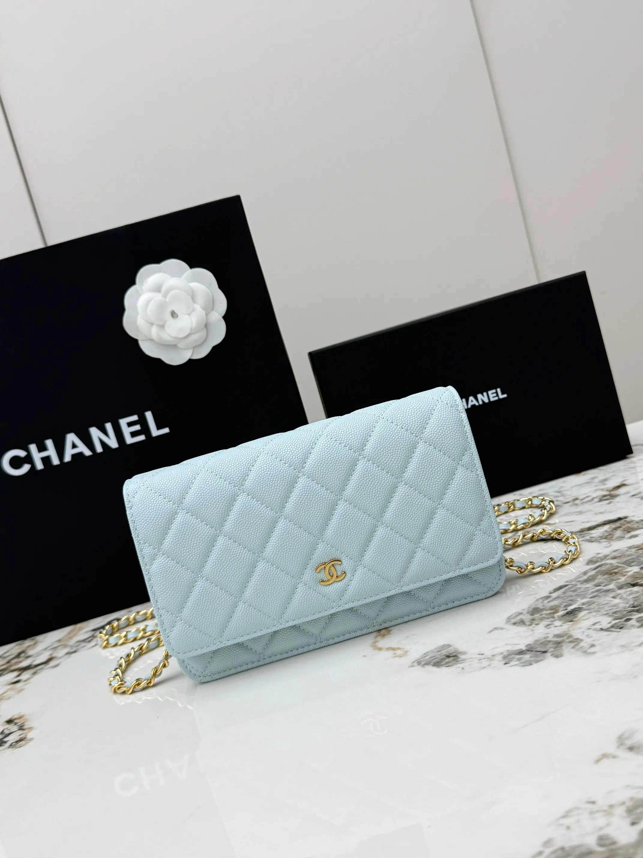 Chanel AP0250 Ball Pattern Silver Buckle Fortune Bag Women s Crossbody Bag Chanel AP0250 Ball Pattern Silver Buckle Fortune Bag Women s Crossbody Bag