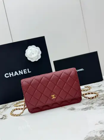 AP0250 Small Ball Pattern Silver Buckle Fortune Bag Women s Crossbody Bag Replica Chanel womens bags