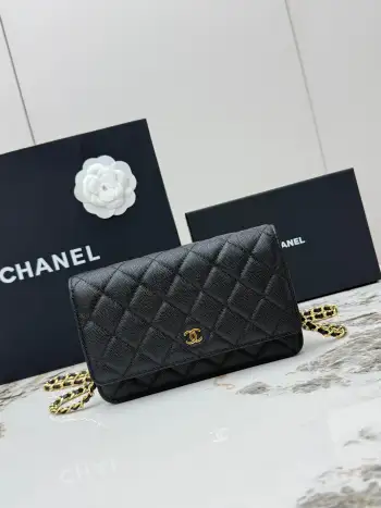 AP0250 Ball Pattern Silver Buckle Fortune Bag Women s Crossbody Bag Replica Chanel womens bags