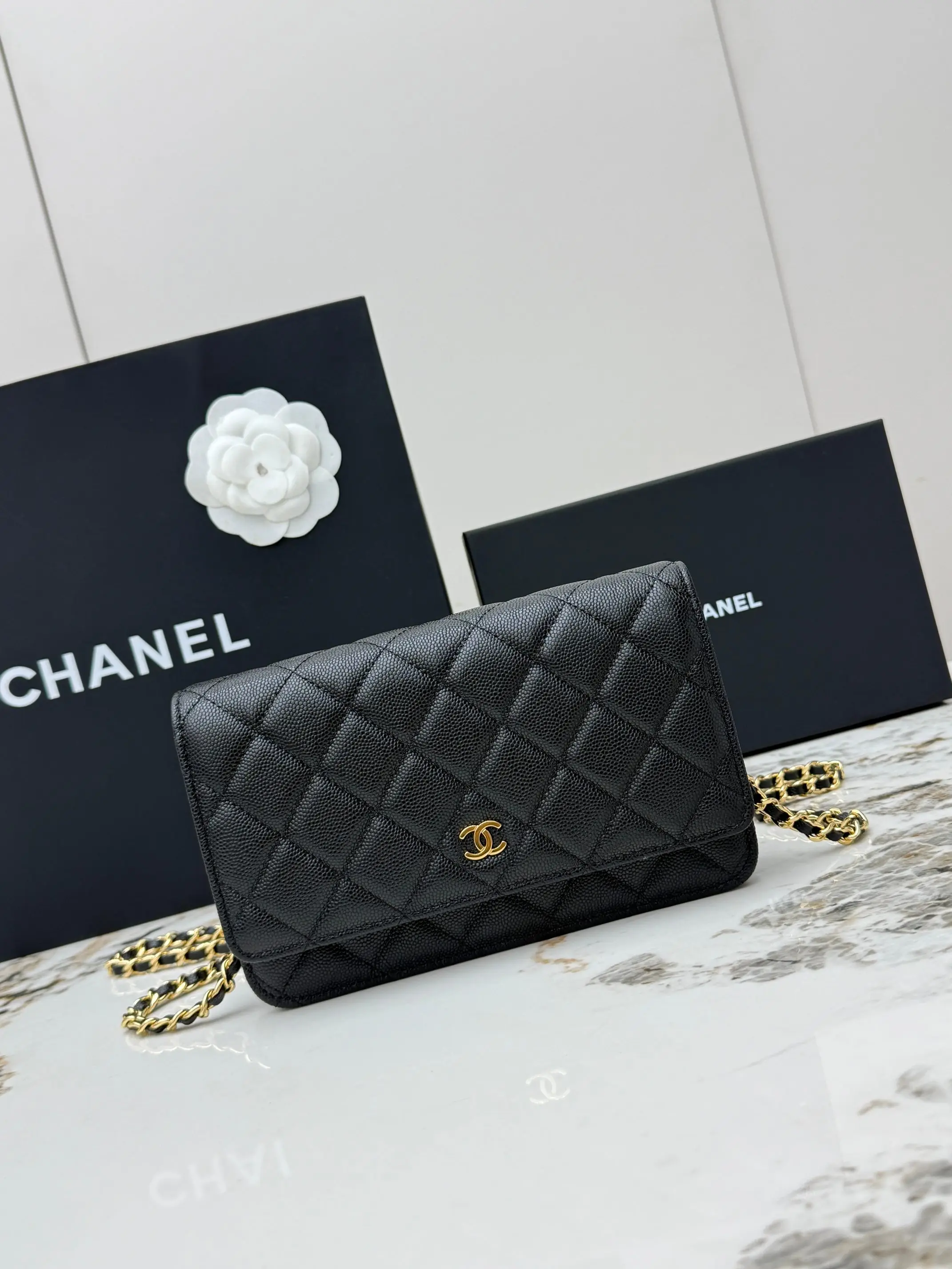 Chanel AP0250 Ball Pattern Silver Buckle Fortune Bag Women s Crossbody Bag Chanel AP0250 Ball Pattern Silver Buckle Fortune Bag Women s Crossbody Bag