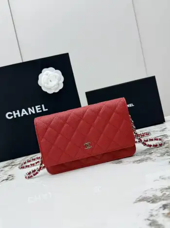 AP0250 Small Ball Pattern Silver Buckle Fortune Bag Women s Crossbody Bag Replica Chanel womens bags