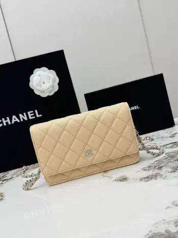 AP0250 Ball Pattern Silver Buckle Fortune Bag Women s Crossbody Bag Replica Chanel womens bags