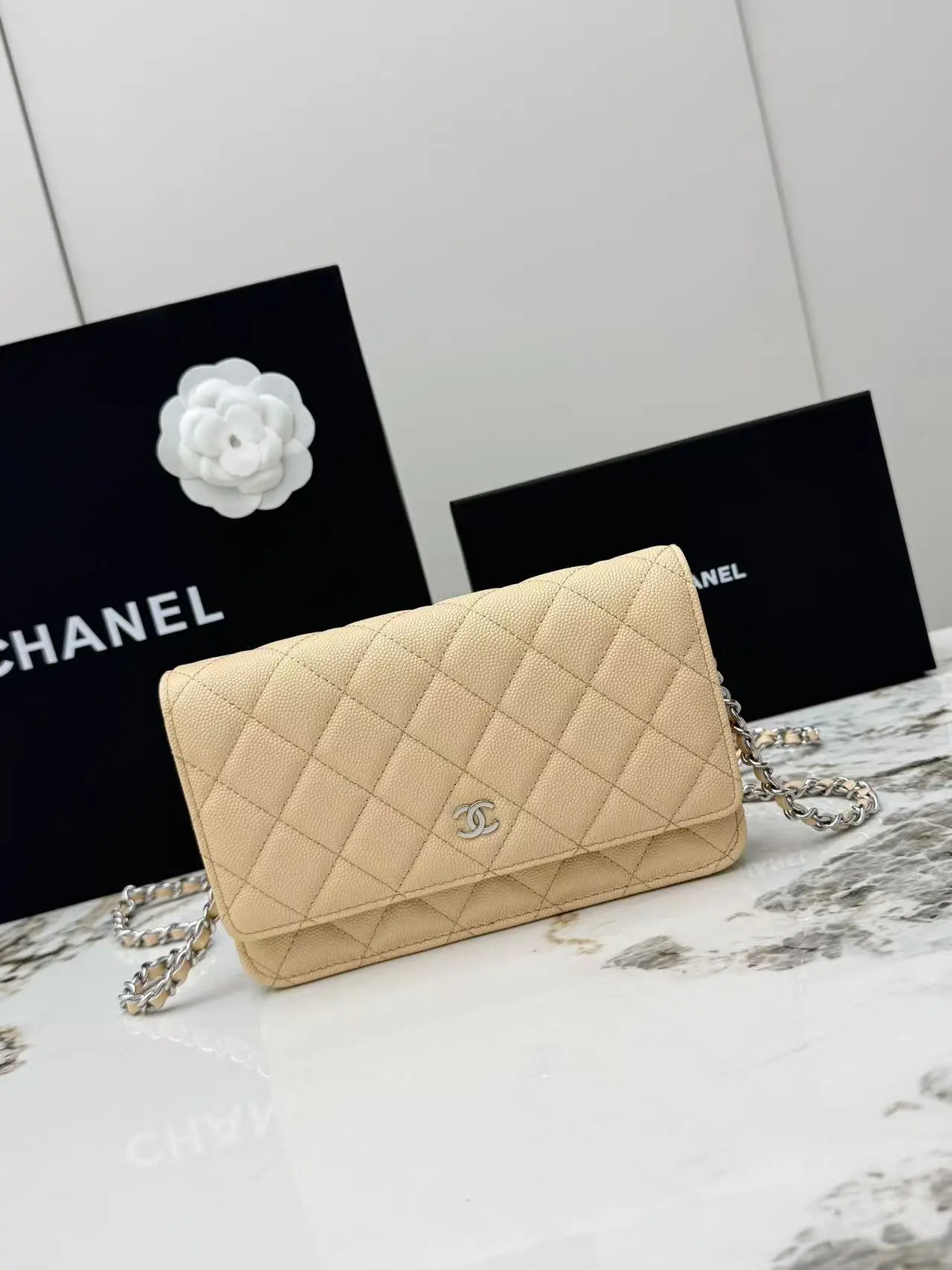 Chanel AP0250 Ball Pattern Silver Buckle Fortune Bag Women s Crossbody Bag Chanel AP0250 Ball Pattern Silver Buckle Fortune Bag Women s Crossbody Bag
