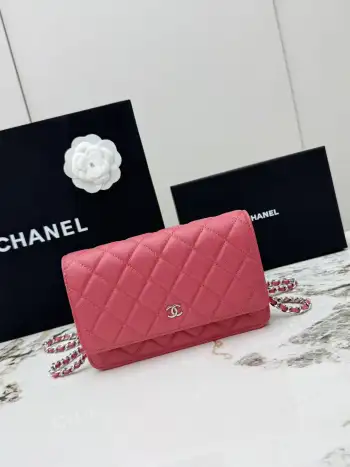 AP0250 Small Ball Pattern Silver Buckle Fortune Bag Women s Crossbody Bag Replica Chanel womens bags