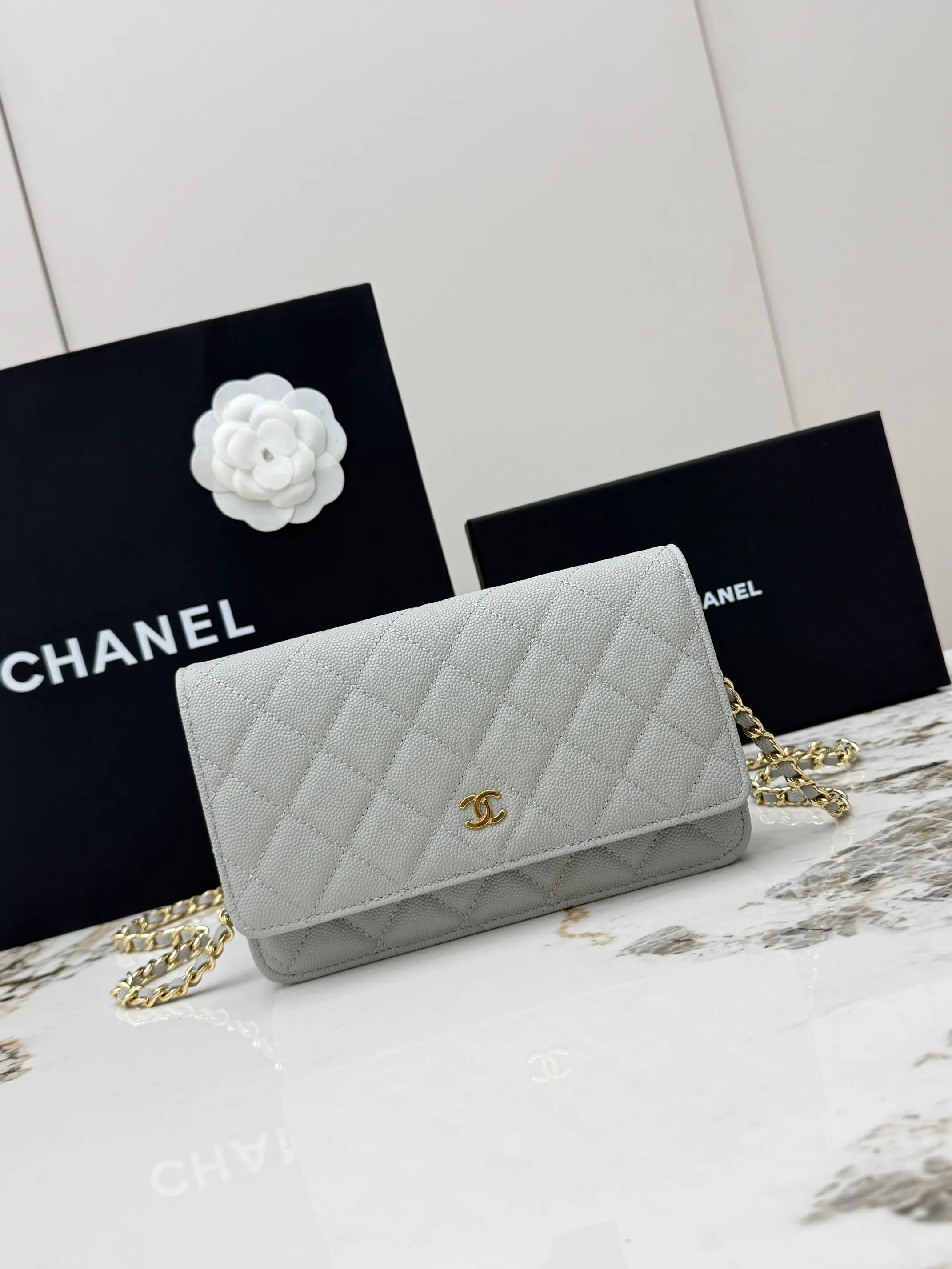 Chanel AP0250 Small Ball Pattern Silver Buckle Fortune Bag Women s Crossbody Bag Chanel AP0250 Small Ball Pattern Silver Buckle Fortune Bag Women s Crossbody Bag