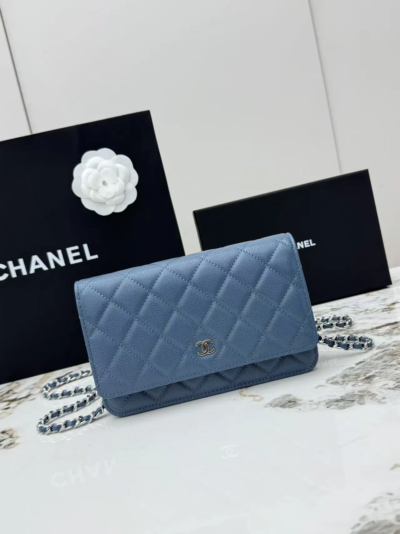 Chanel AP0250 Small Ball Pattern Silver Buckle Fortune Bag Women s Crossbody Bag