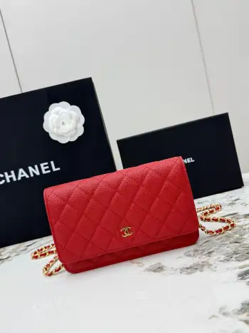 AP0250 Small Ball Pattern Silver Buckle Fortune Bag Women s Crossbody Bag Replica Chanel womens bags