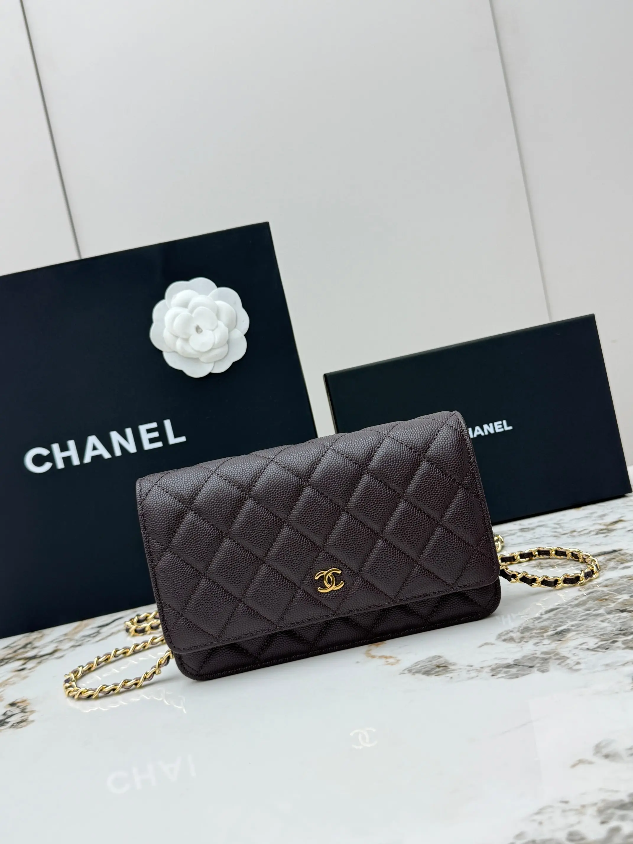 Chanel AP0250 Small Ball Pattern Silver Buckle Fortune Bag Women s Crossbody Bag Chanel AP0250 Small Ball Pattern Silver Buckle Fortune Bag Women s Crossbody Bag