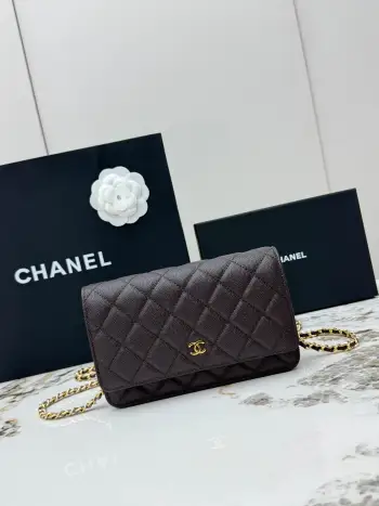 AP0250 Small Ball Pattern Silver Buckle Fortune Bag Women s Crossbody Bag Replica Chanel womens bags