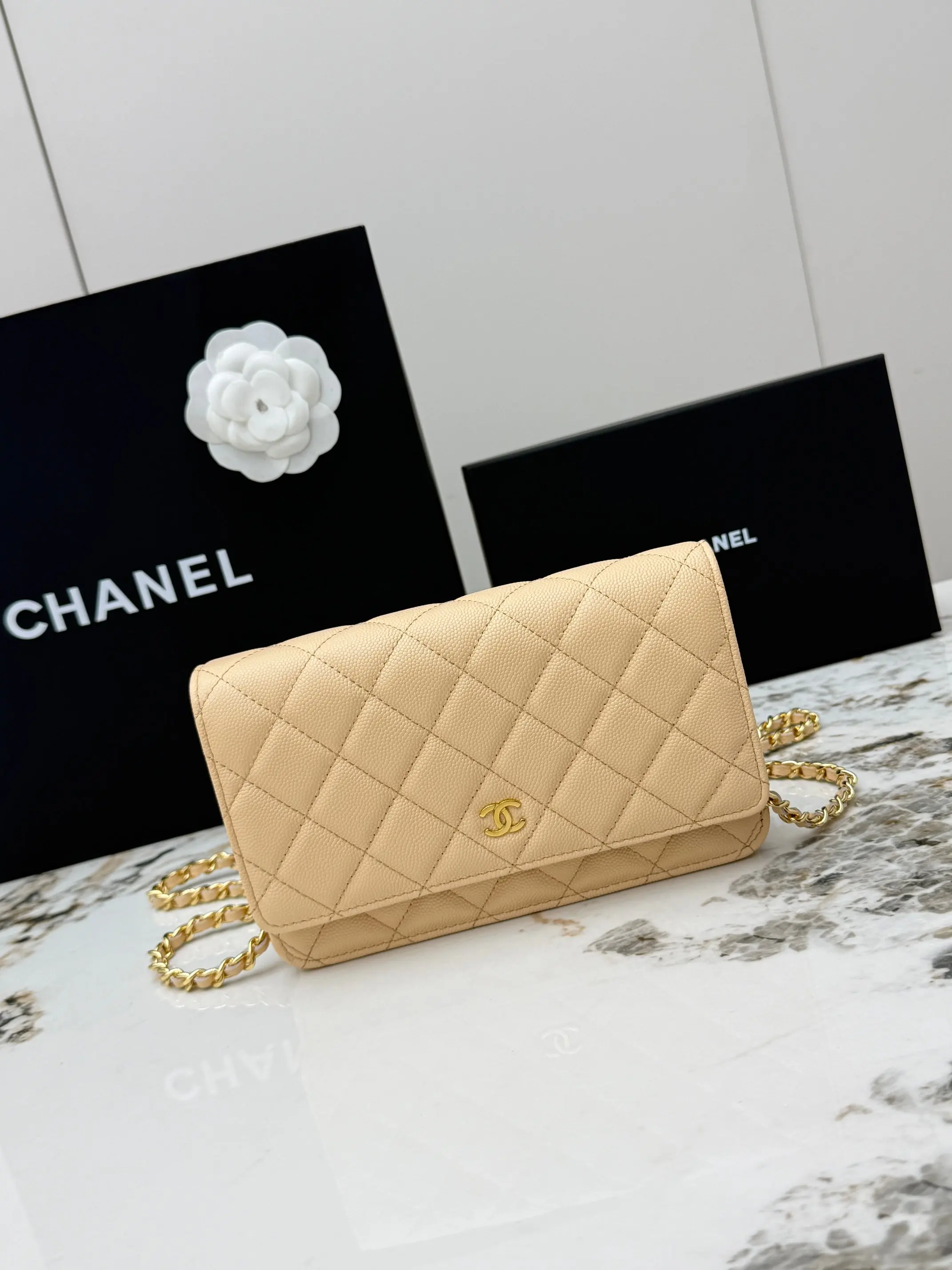 Chanel AP0250 Ball Pattern Silver Buckle Fortune Bag Women s Crossbody Bag Chanel AP0250 Ball Pattern Silver Buckle Fortune Bag Women s Crossbody Bag