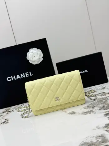 AP0250 Small Ball Pattern Silver Buckle Fortune Bag Women s Crossbody Bag Replica Chanel womens bags
