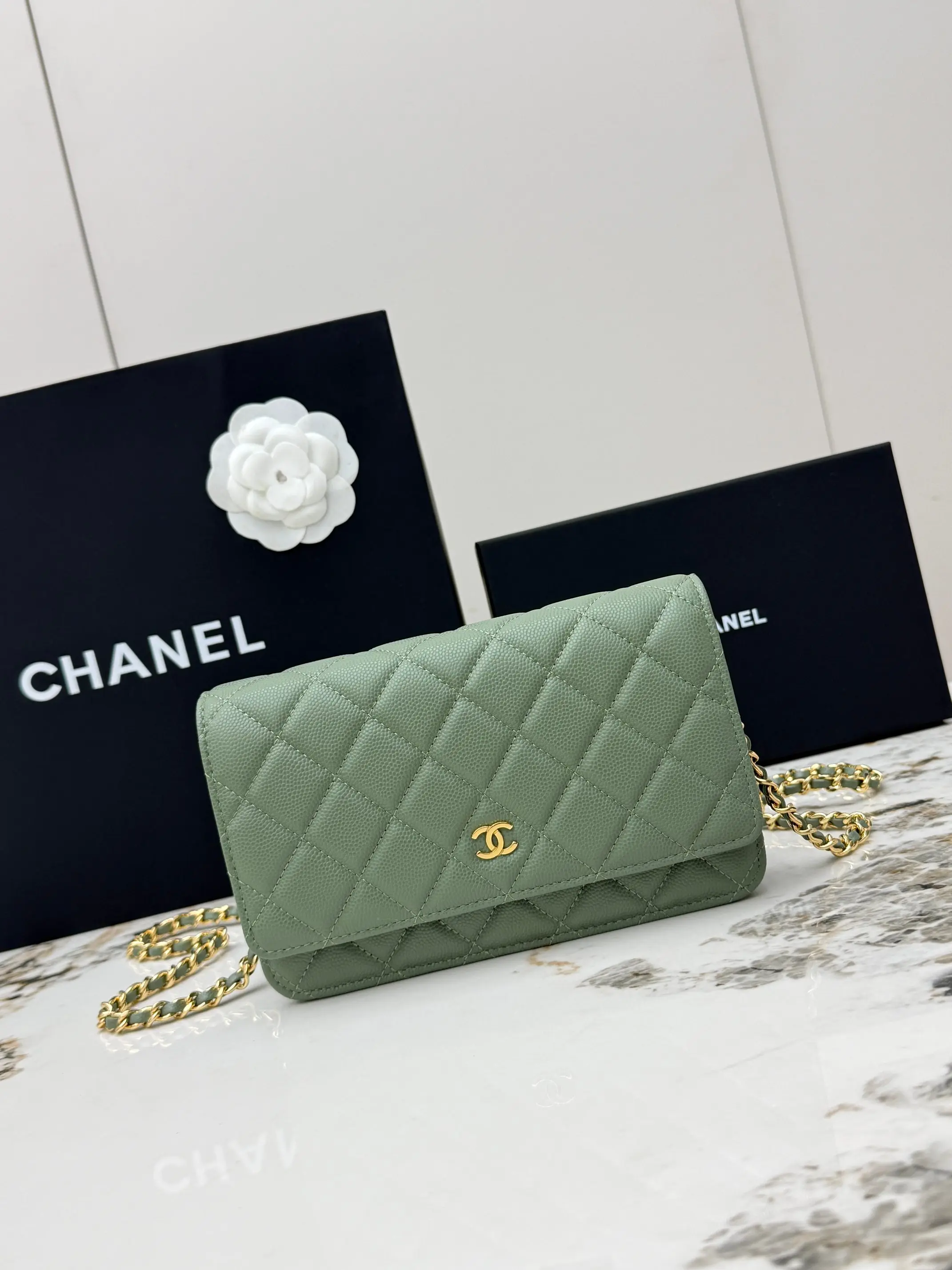 Chanel AP0250 Small Ball Pattern Silver Buckle Fortune Bag Women s Crossbody Bag