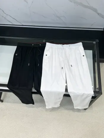 New Tencel Linen Casual Pants  Replica Zegna Pants and Trousers