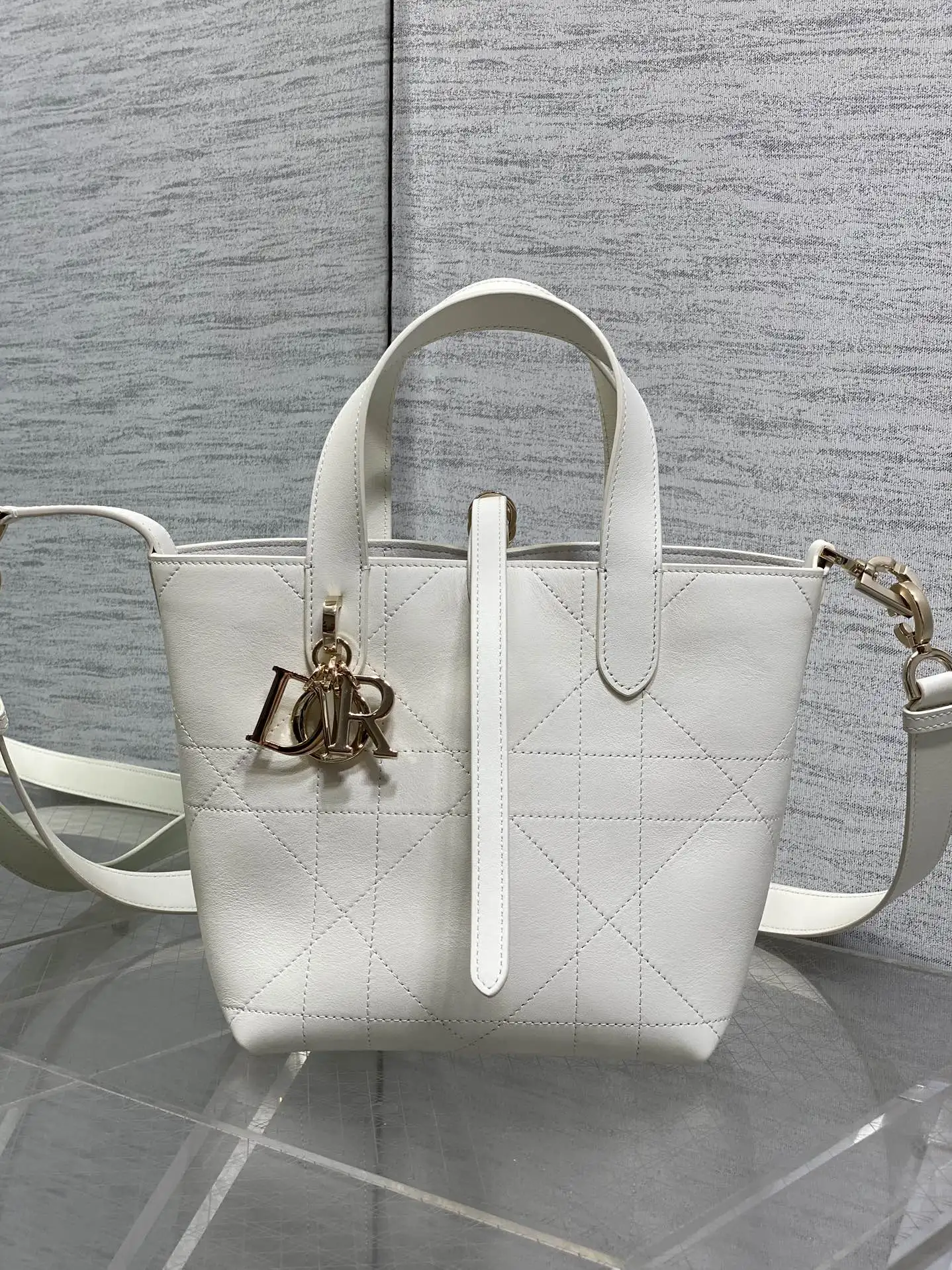 Dior Spring-Summer Limited Edition Color Series Handbag Women s Crossbody Bag Dior Spring-Summer Limited Edition Color Series Handbag Women s Crossbody Bag