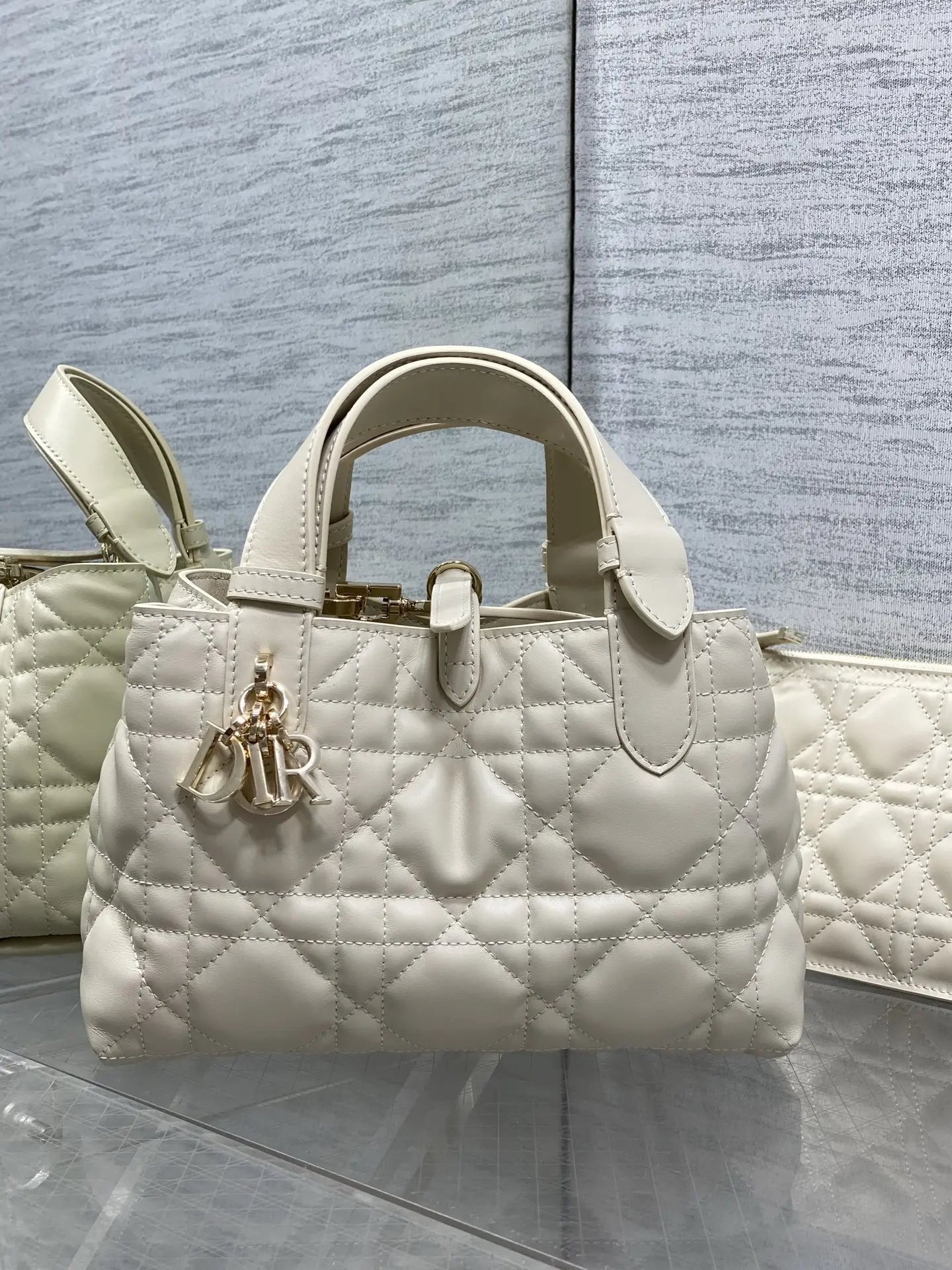 Dior Spring and Summer Limited Edition Color Series Handbag Women s Tote Bag Dior Spring and Summer Limited Edition Color Series Handbag Women s Tote Bag