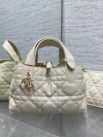 Spring and Summer Limited Edition Color Series Handbag Women s Tote Bag Replica Dior womens bags