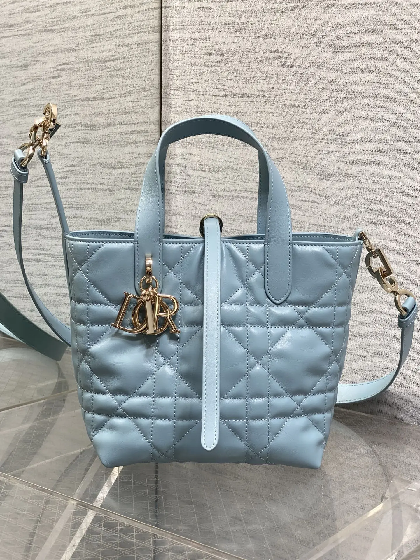 Dior Spring-Summer Limited Edition Color Series Handbag Women s Crossbody Bag Dior Spring-Summer Limited Edition Color Series Handbag Women s Crossbody Bag