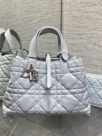 Spring-Summer Limited Edition Color Series Handbag Women s Tote Bag Replica Dior womens bags