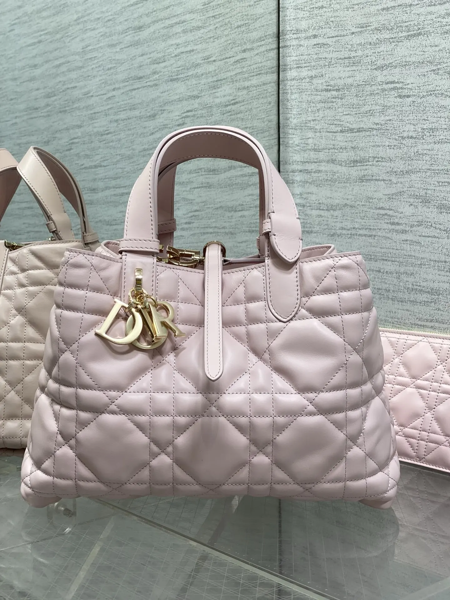 Dior Spring-Summer Limited Edition Color Series Handbag Women s Tote Bag