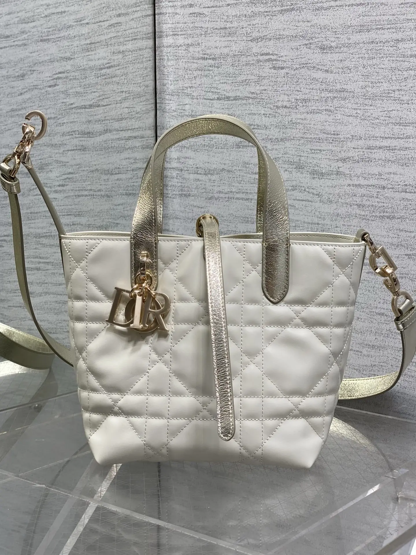 Dior Spring/Summer Limited Edition Color Series Handbag Women s Crossbody Bag Dior Spring/Summer Limited Edition Color Series Handbag Women s Crossbody Bag
