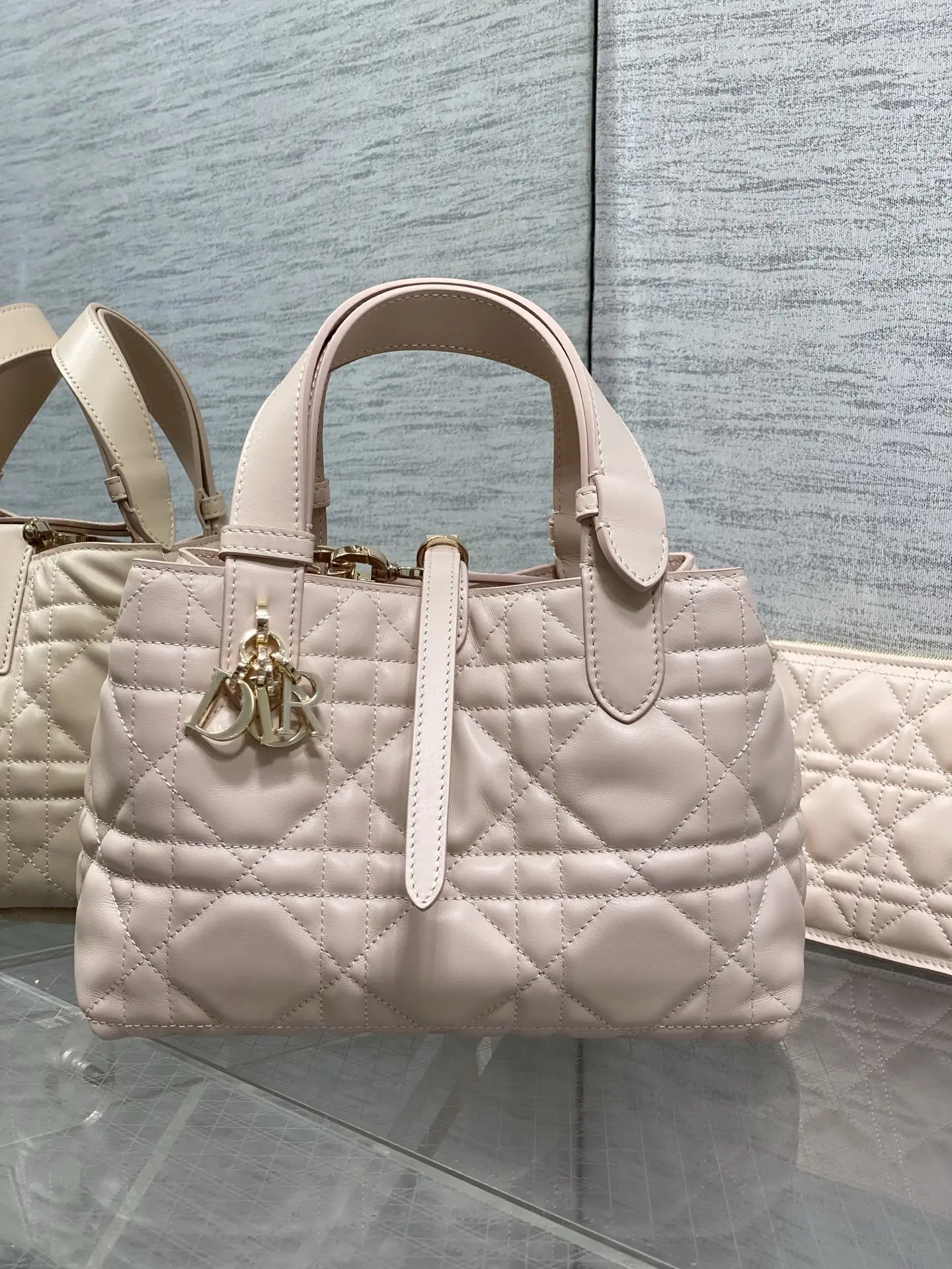 Dior Spring-Summer Limited Edition Color Series Handbag Women s Tote Bag