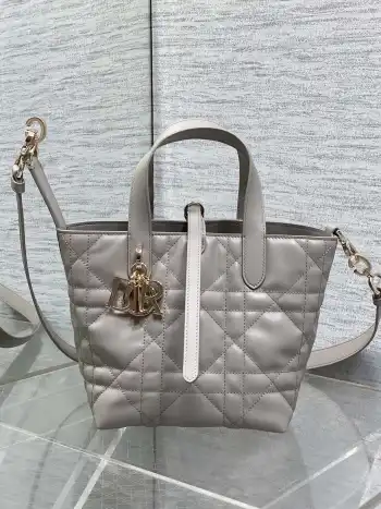 Spring-Summer Limited Edition Color Series Handbag Women s Crossbody Bag Replica Dior womens bags