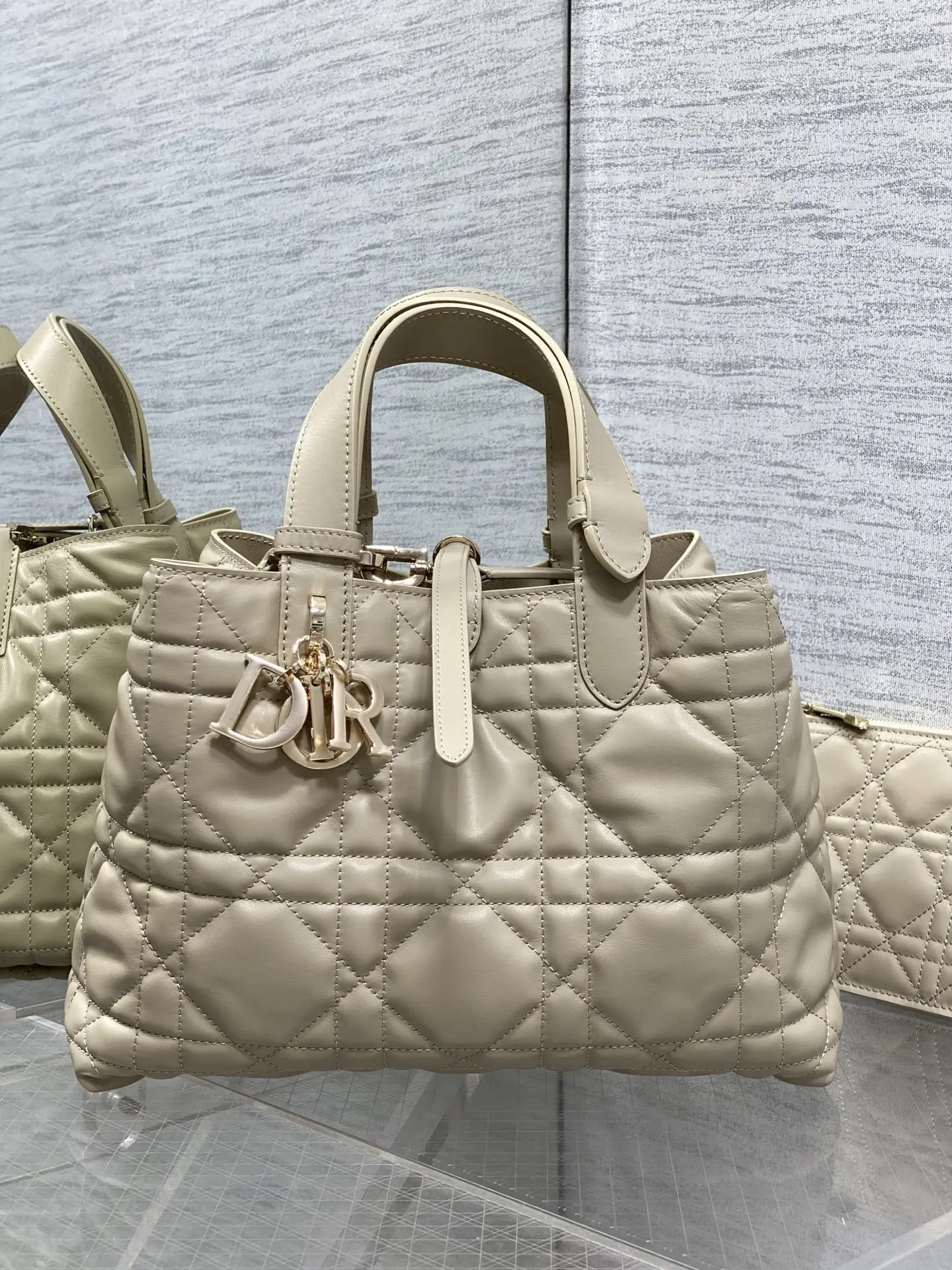Dior Spring-Summer Limited Edition Color Series Handbag Women s Tote Bag