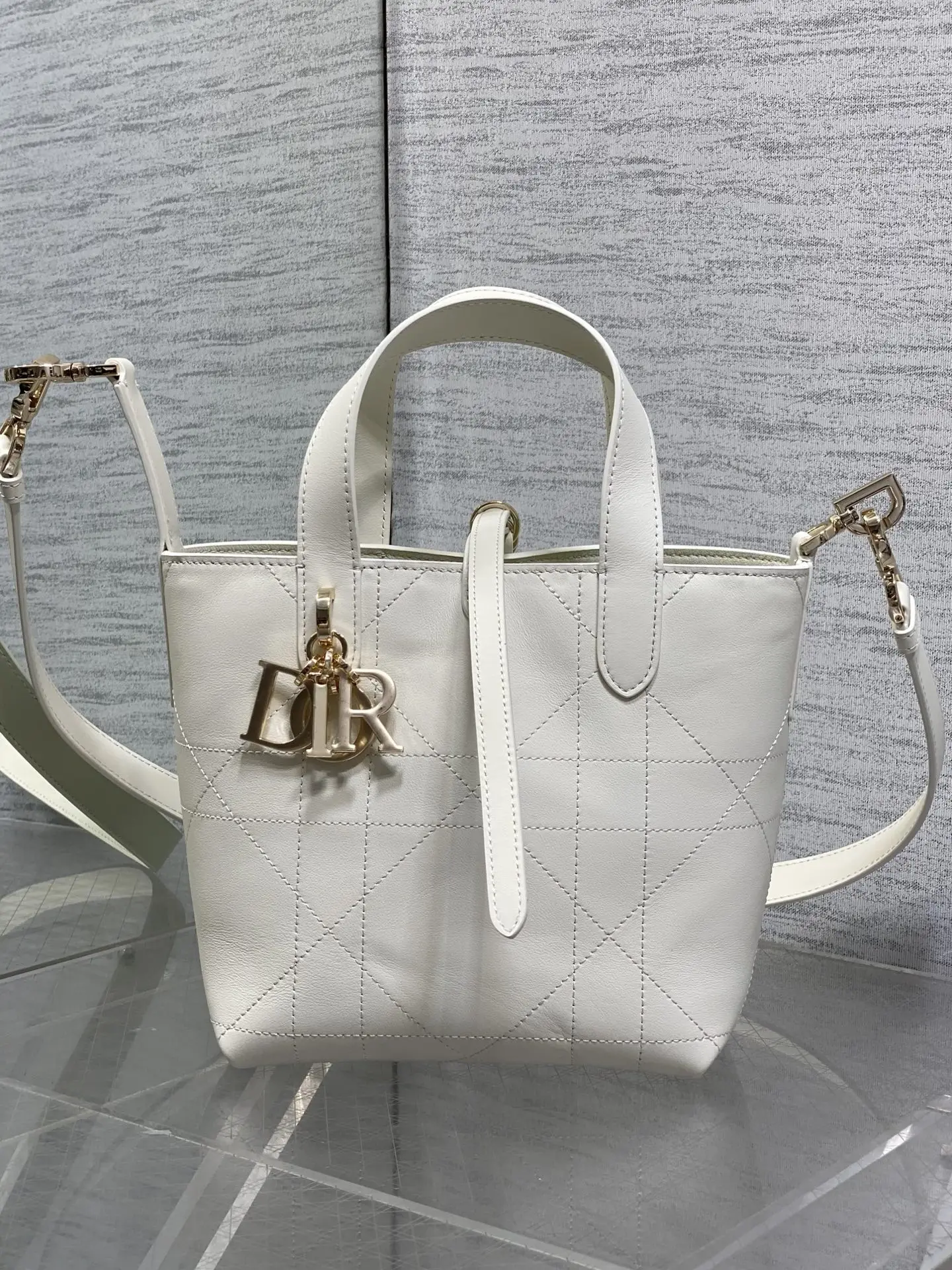 Dior Spring-Summer Limited Edition Color Series Handbag Women s Crossbody Bag Dior Spring-Summer Limited Edition Color Series Handbag Women s Crossbody Bag
