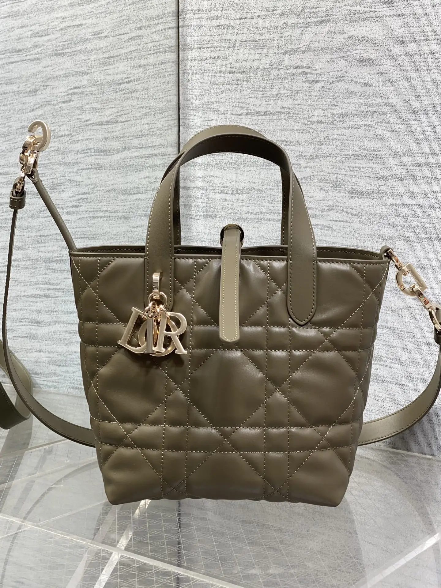 Dior Spring-Summer Limited Edition Color Series Handbag Women s Crossbody Bag Dior Spring-Summer Limited Edition Color Series Handbag Women s Crossbody Bag