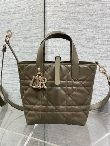 Spring-Summer Limited Edition Color Series Handbag Women s Crossbody Bag Replica Dior womens bags