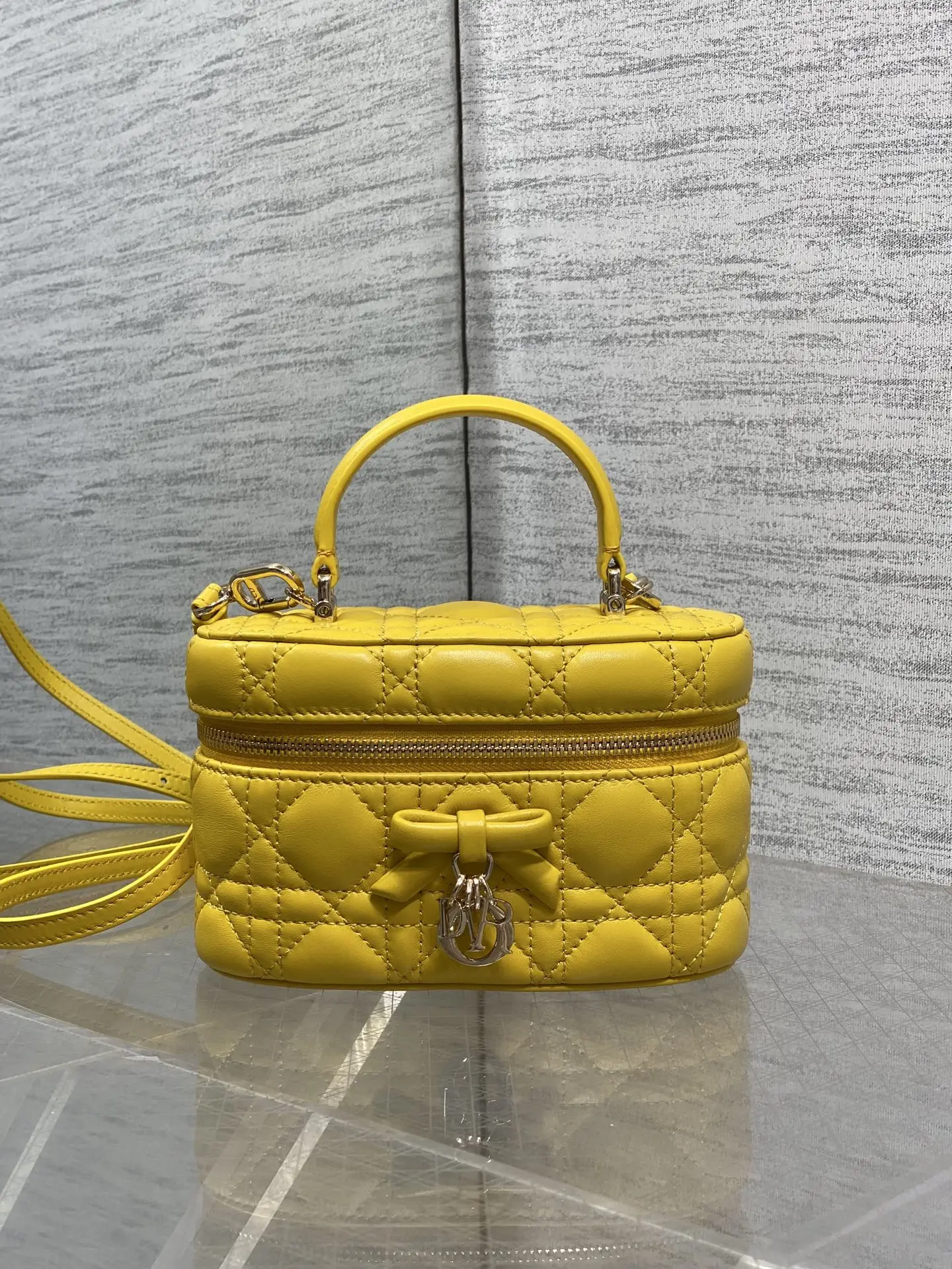 Dior Bowknot Makeup Bag Women s Handbag