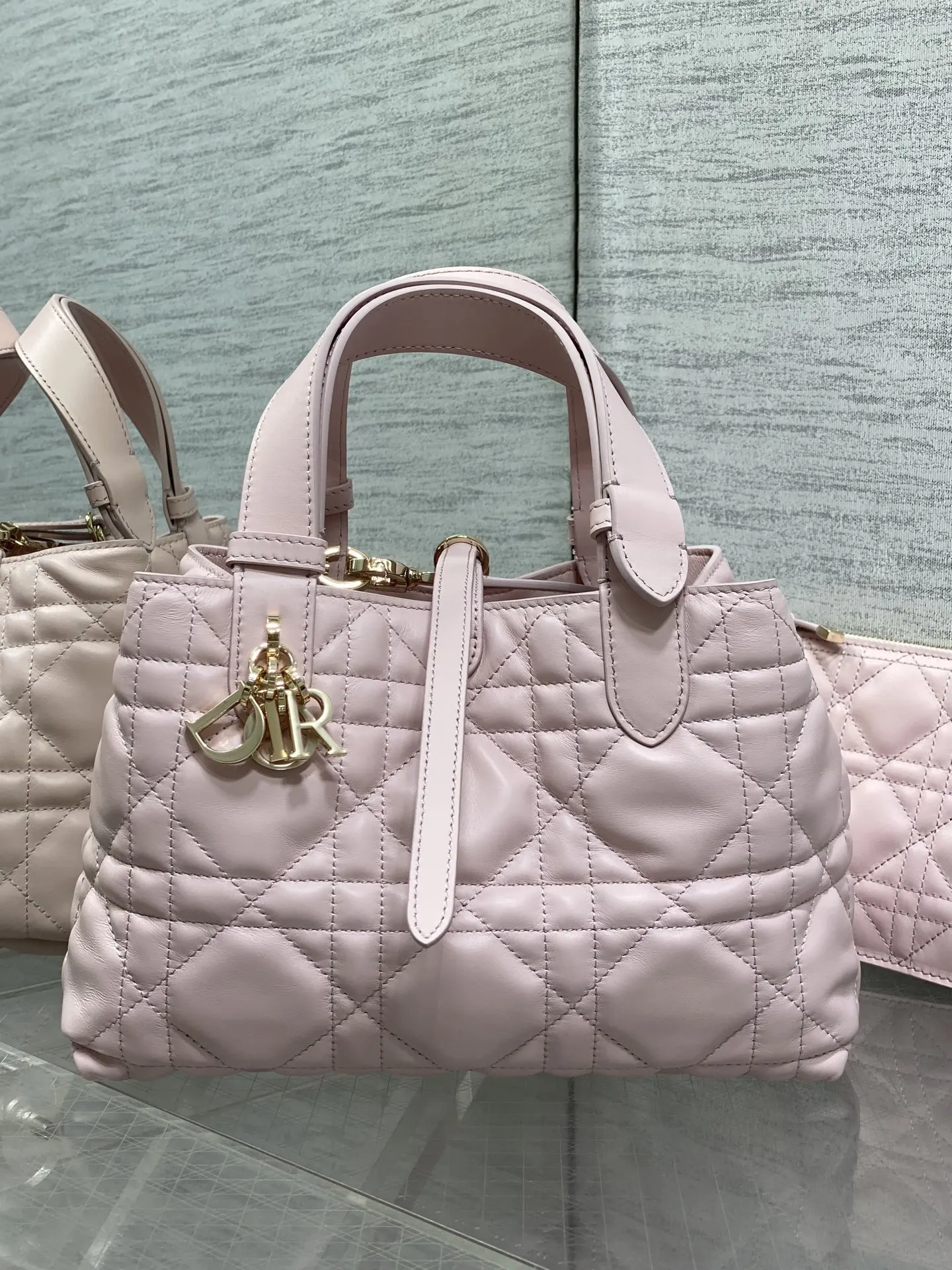 Dior Spring-Summer Limited Edition Color Series Handbag Women s Tote Bag