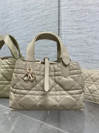 Spring-Summer Limited Edition Color Series Handbag Women s Tote Bag Replica Dior womens bags