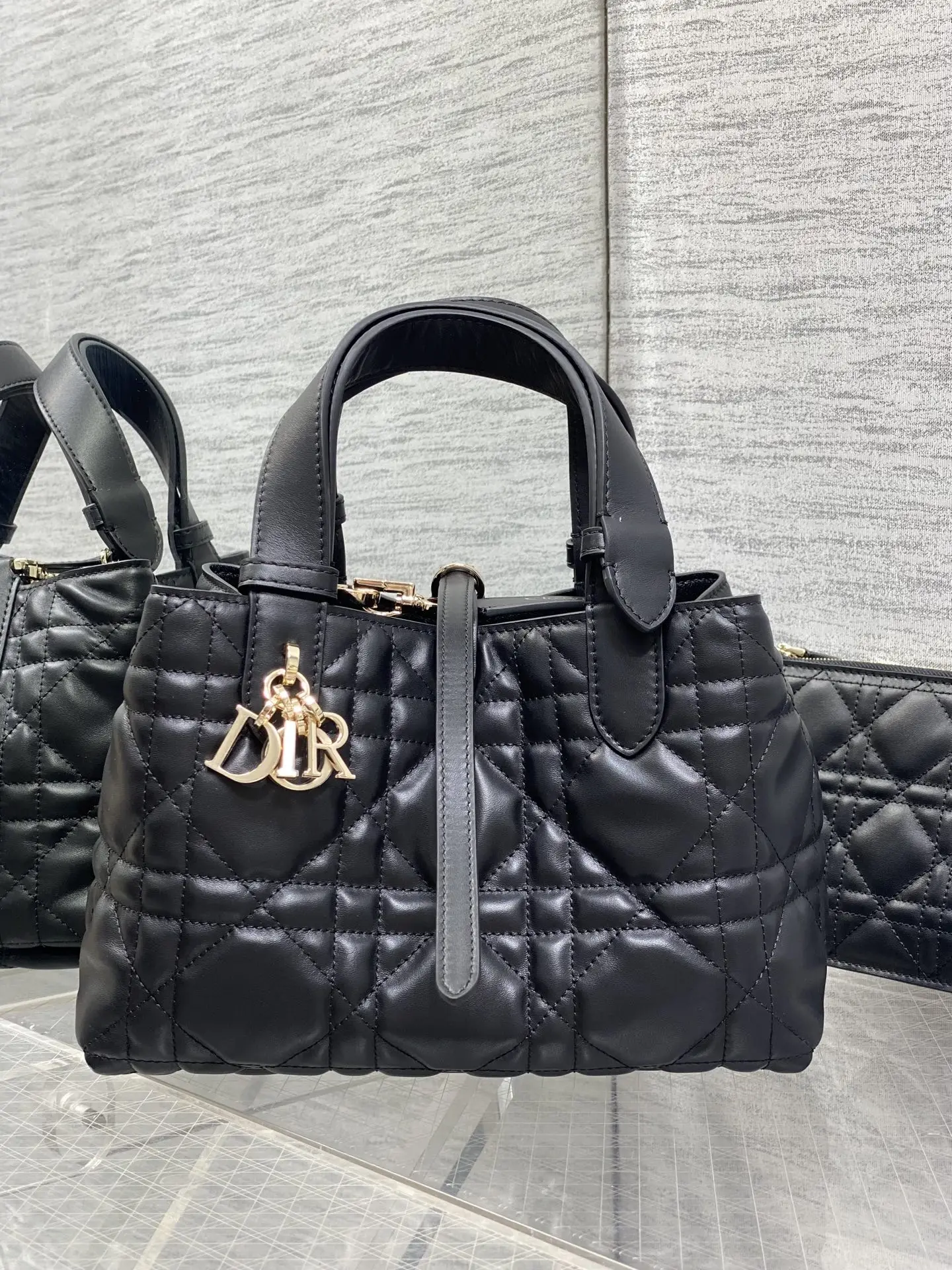 Dior Spring-Summer Limited Edition Color Series Handbag Women s Tote Bag