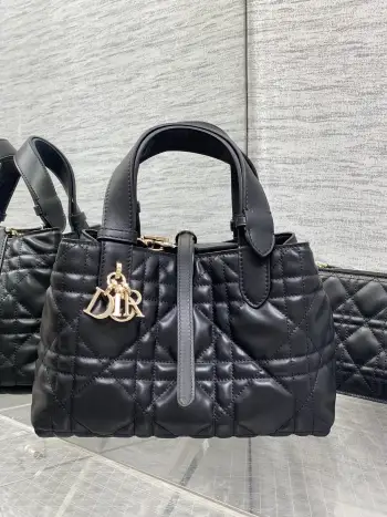 Spring-Summer Limited Edition Color Series Handbag Women s Tote Bag Replica Dior womens bags