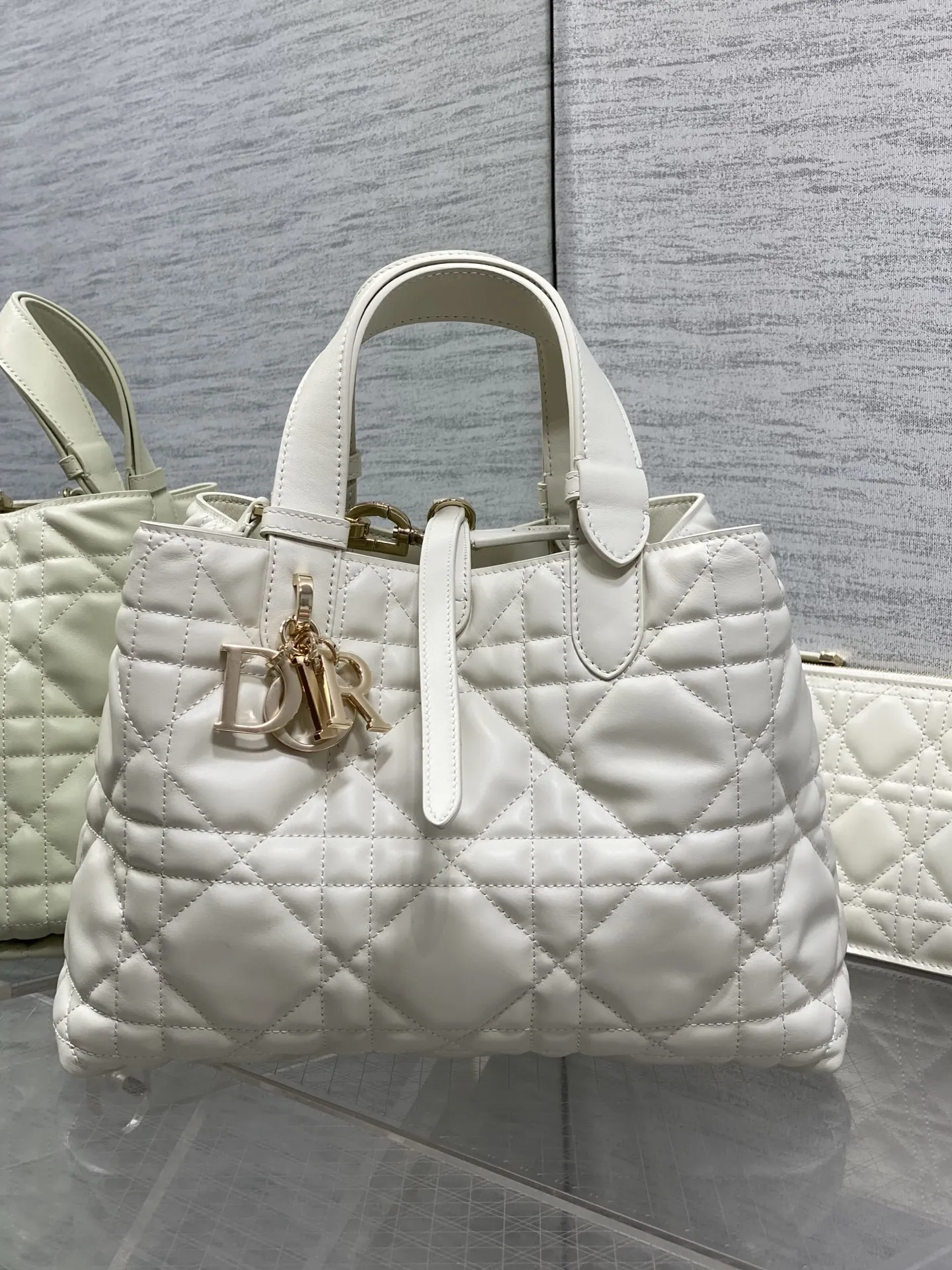 Dior Spring-Summer Limited Edition Color Series Handbag Women s Tote Bag Dior Spring-Summer Limited Edition Color Series Handbag Women s Tote Bag