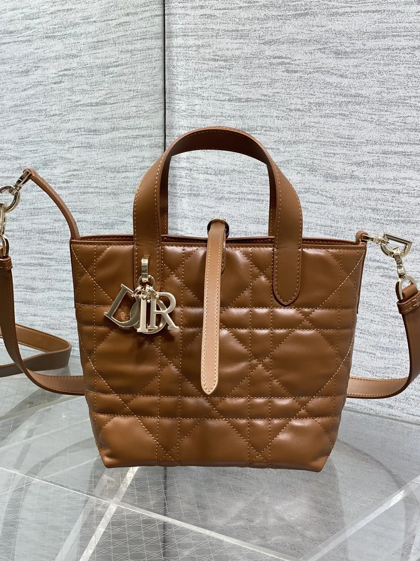 Dior Spring-Summer Limited Edition Color Series Handbag Women s Crossbody Bag