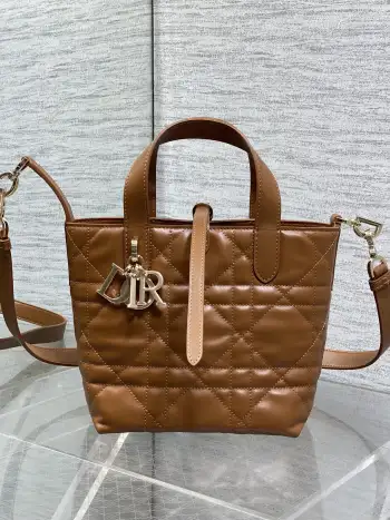 Spring-Summer Limited Edition Color Series Handbag Women s Crossbody Bag Replica Dior womens bags