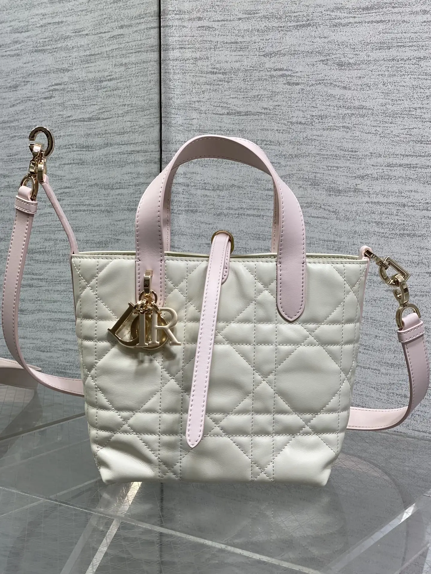 Dior Spring-Summer Limited Edition Color Series Handbag Women s Crossbody Bag Dior Spring-Summer Limited Edition Color Series Handbag Women s Crossbody Bag