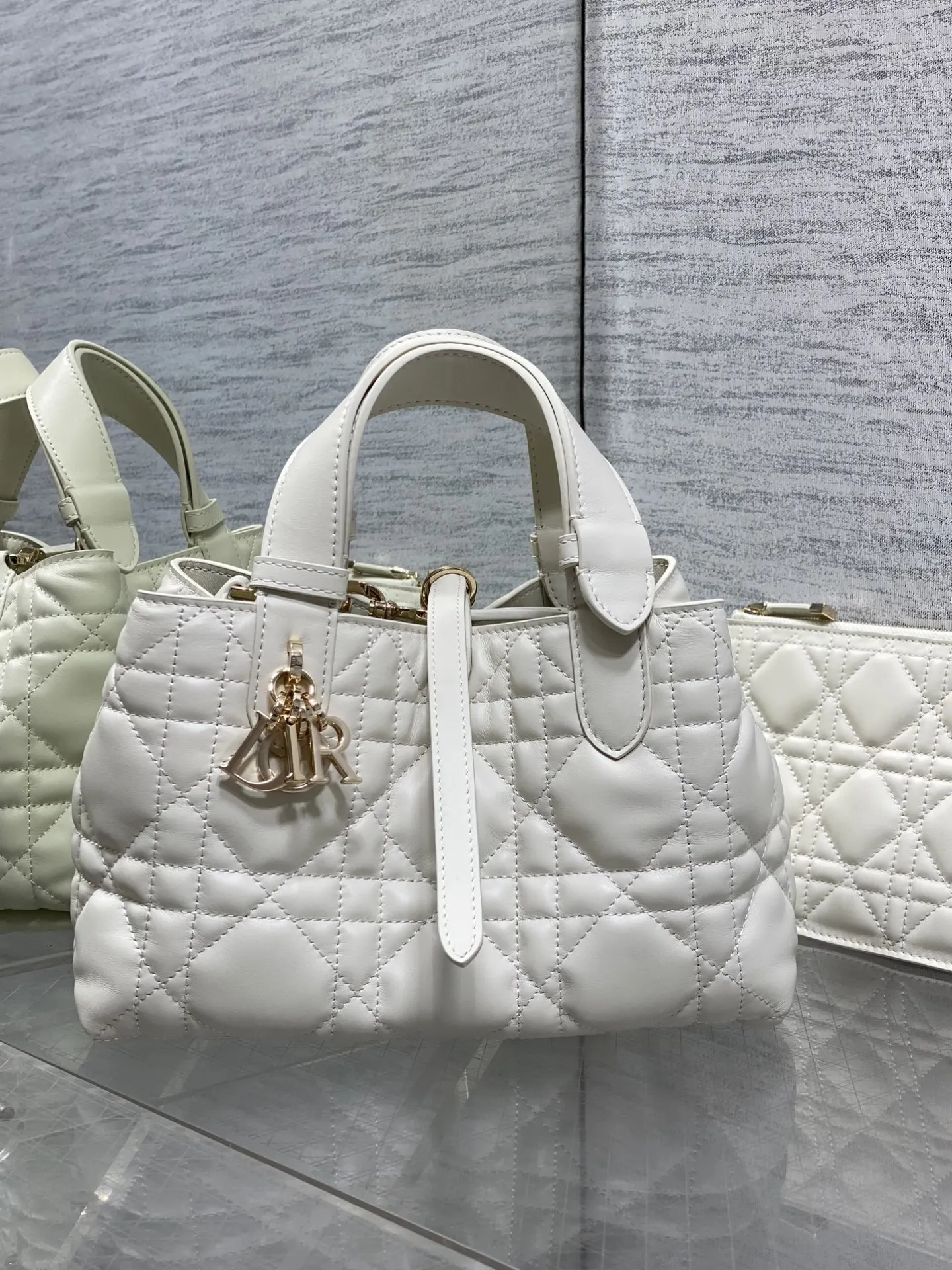 Dior Spring-Summer Limited Edition Color Series Handbag Women s Tote Bag