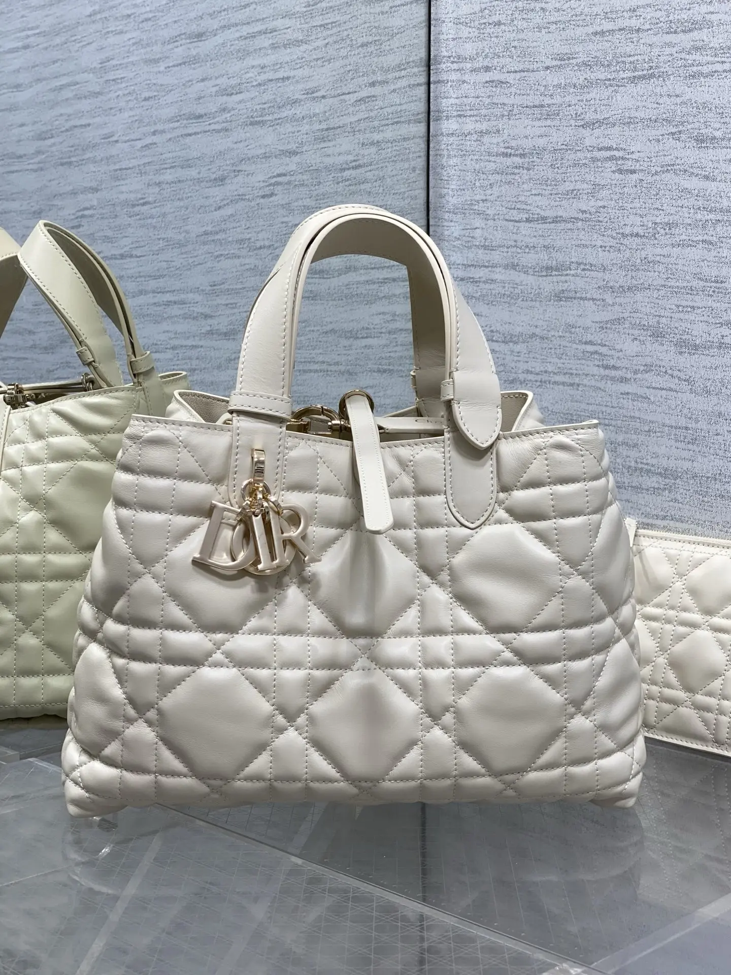 Dior Spring-Summer Limited Edition Color Series Handbag Women s Tote Bag