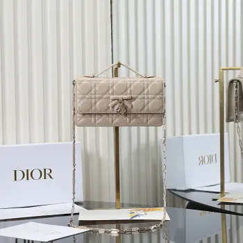 0984 Latest Butterfly Knot Chain Bag Women s Crossbody Bag Replica Dior womens bags