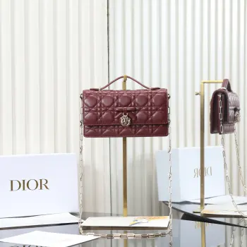 0984 Latest Butterfly Knot Chain Bag Women s Crossbody Bag Replica Dior womens bags