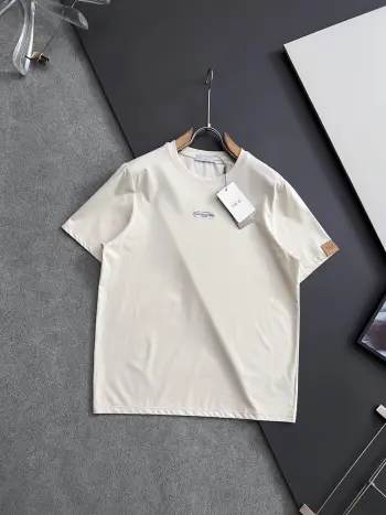 Specific Liquid Ammonia Silk-like High-end Cool Cotton T-shirt Replica Dior Tshirts and Polos