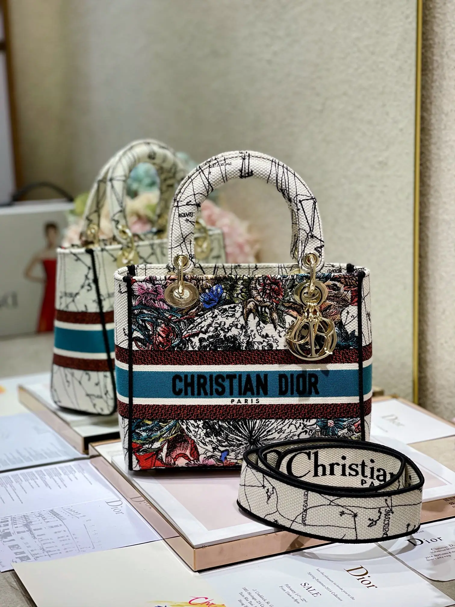 Dior 9027 Milk White Constellation Embroidered Lady Di Bag Women s Crossbody Bag Dior 9027 Milk White Constellation Embroidered Lady Di Bag Women s Crossbody Bag